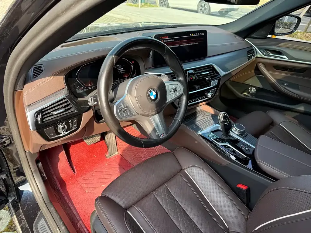 BMW 5 Series 2023 из CN, фото 6