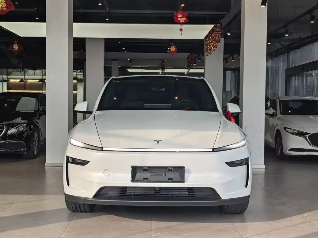Tesla Model Y — фото 2