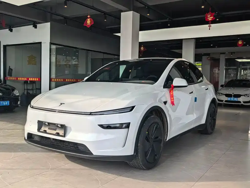 Tesla Model Y — фото 8