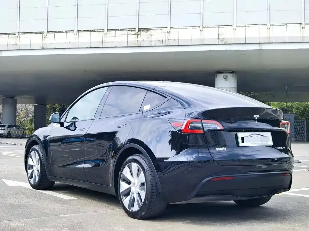 Tesla Model Y — фото 9