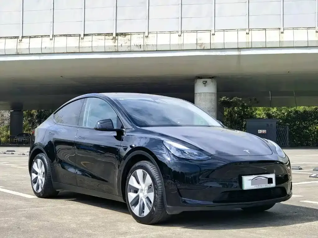 Tesla Model Y — фото 8