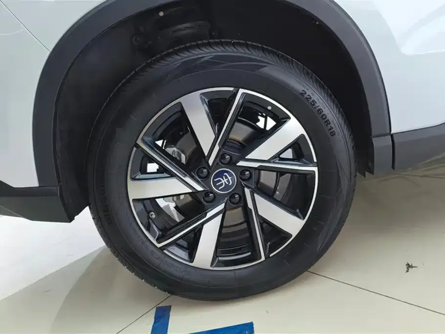 BYD Pro New Energy — фото 7