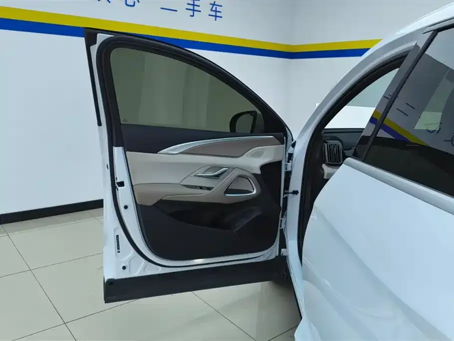 BYD Pro New Energy — фото 3