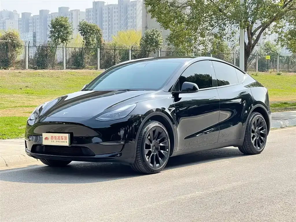 Tesla Model Y 2022 из CN, фото 1