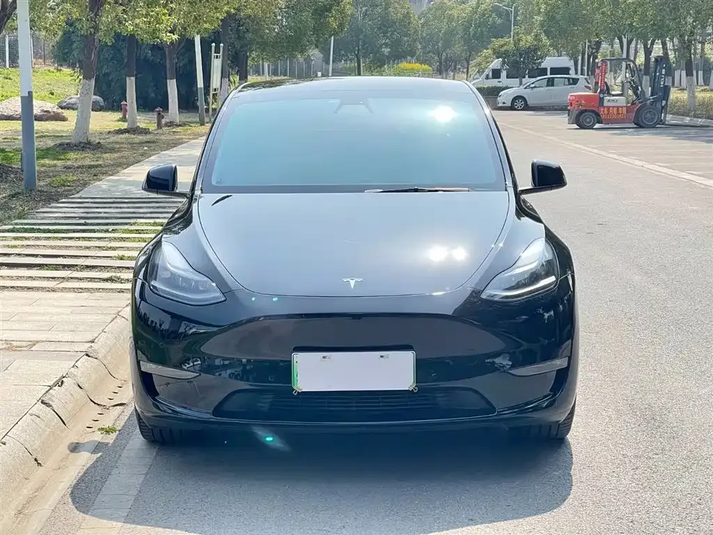 Tesla Model Y 2022 из CN, фото 3