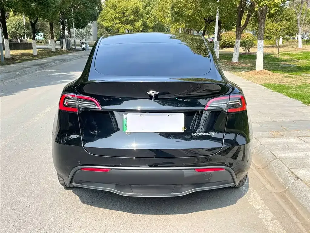 Tesla Model Y 2022 из CN, фото 5