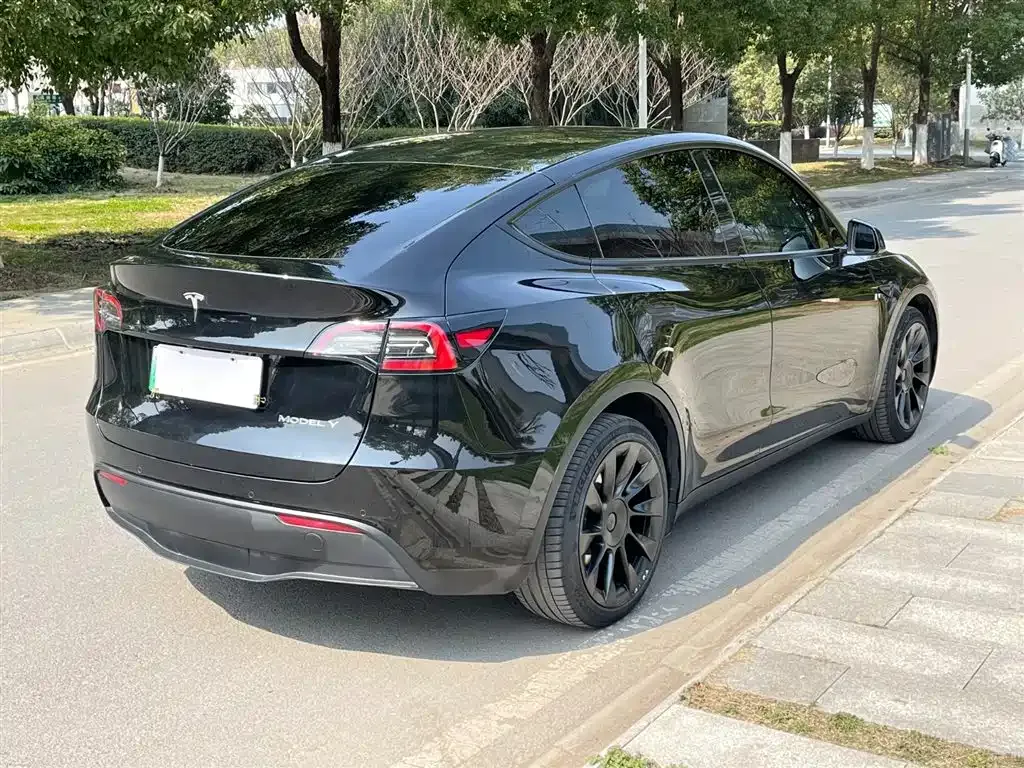 Tesla Model Y 2022 из CN, фото 6