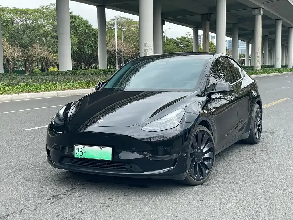 Tesla Model Y — фото 1