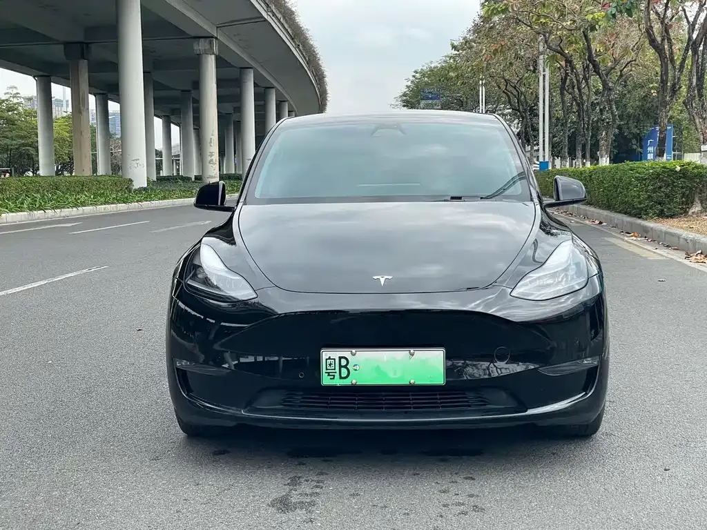 Tesla Model Y — фото 8