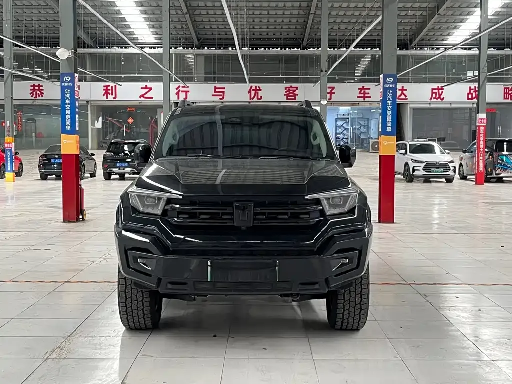 Tank 400 New Energy 2024 из CN, фото 6
