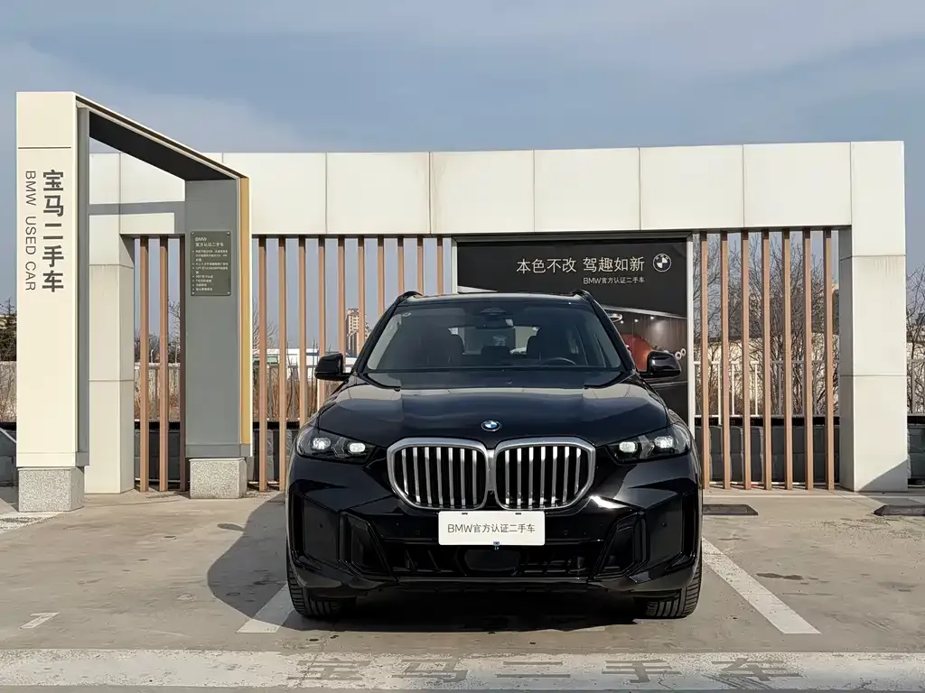 BMW X5 2025 из CN, фото 2
