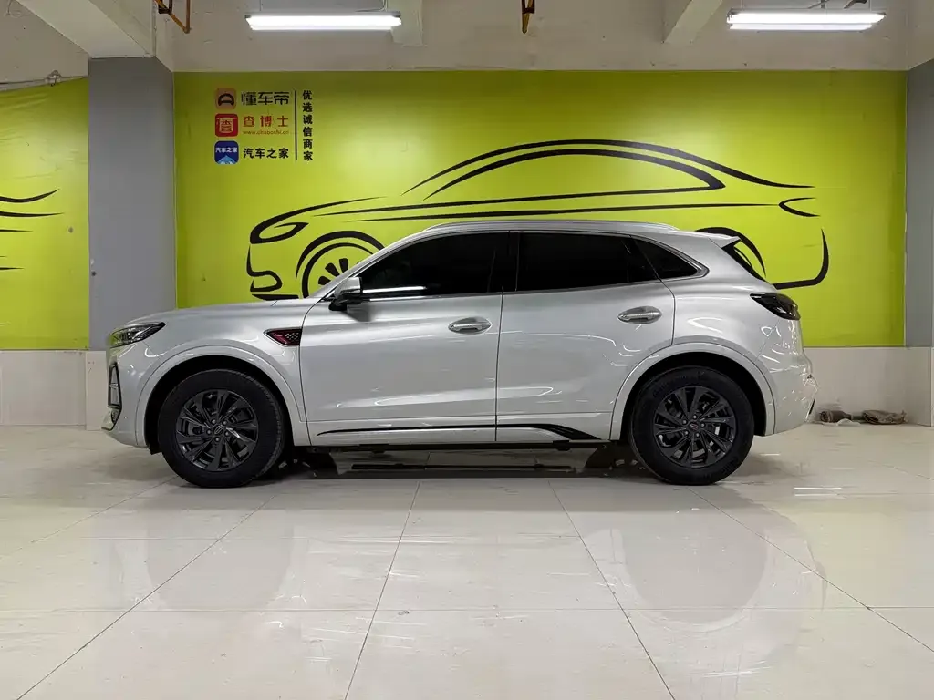 Hongqi HS5 2023 из CN, фото 8
