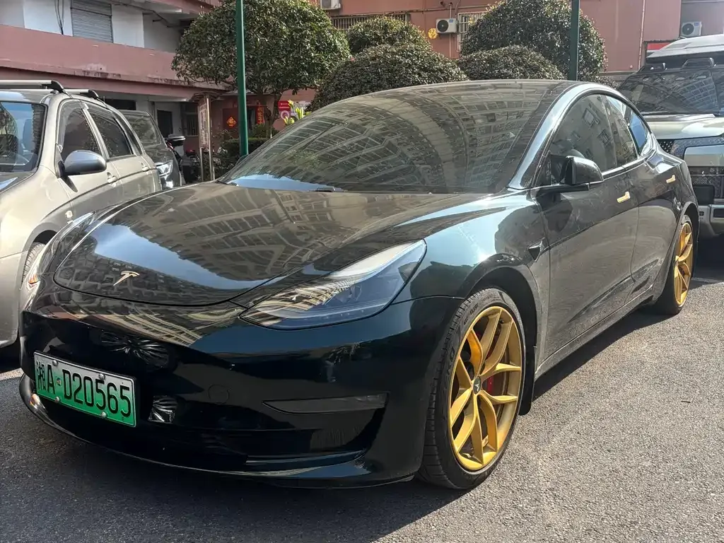 Tesla Model 3 2021 из CN, фото 1