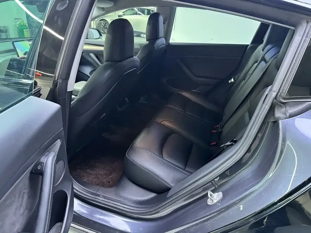 Tesla Model 3 2021 из CN, фото 2