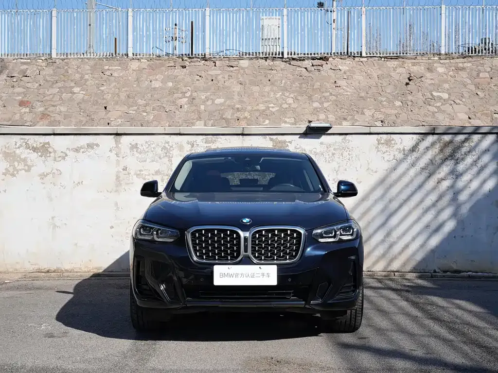 BMW X4 2025 из CN, фото 10