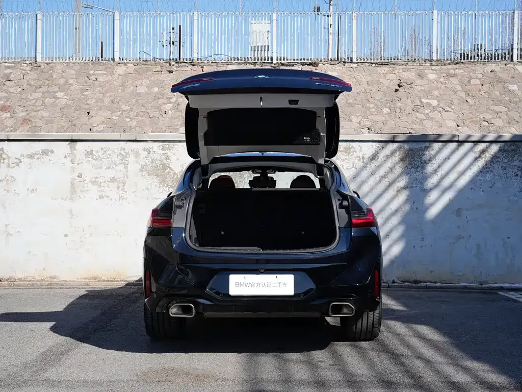 BMW X4 2025 из CN, фото 6