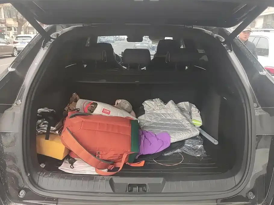 BYD PLUS New Energy — фото 3