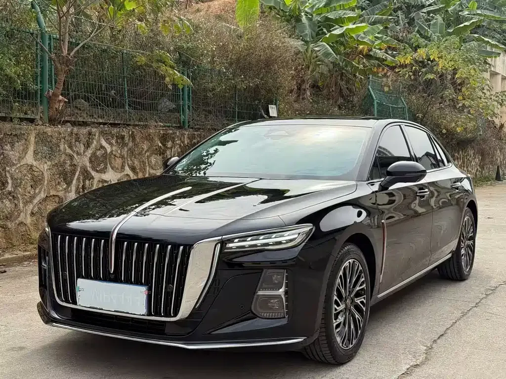 Hongqi H5 2024 из CN, фото 1