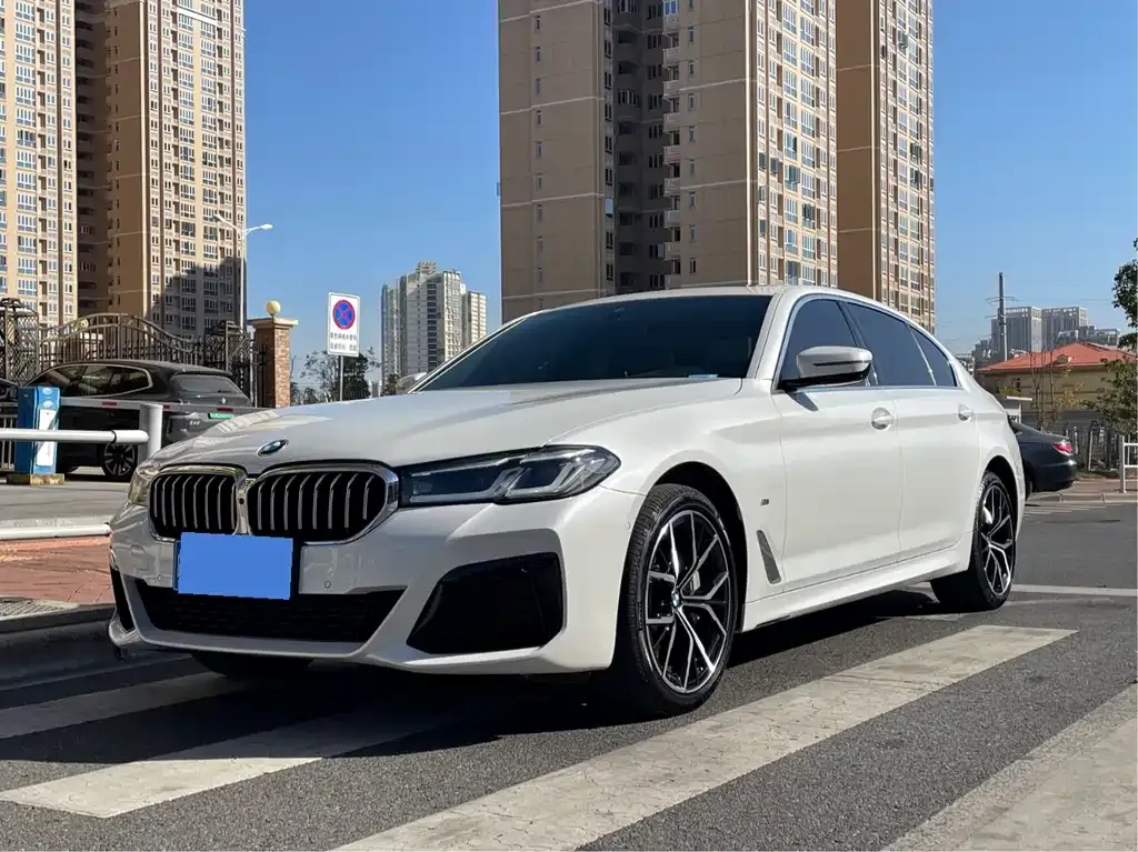 BMW 5 Series 2022 из CN, фото 1