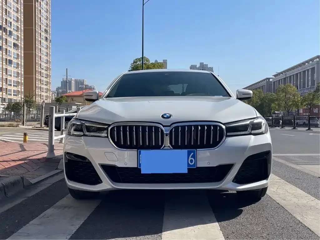 BMW 5 Series 2022 из CN, фото 2