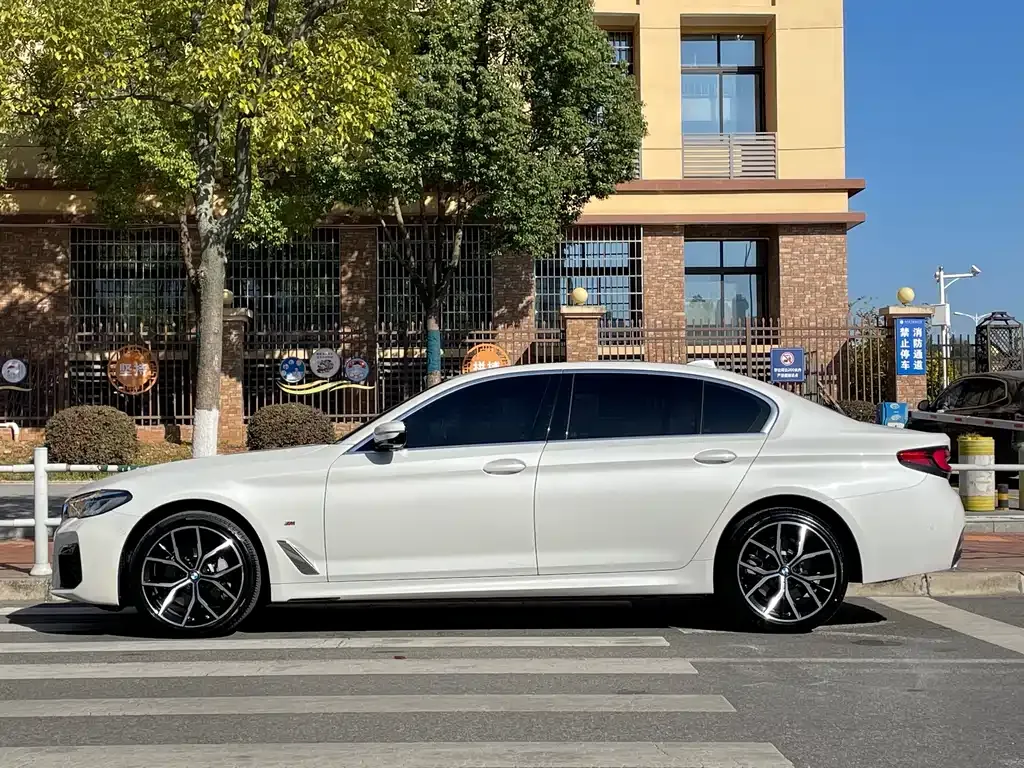 BMW 5 Series 2022 из CN, фото 10