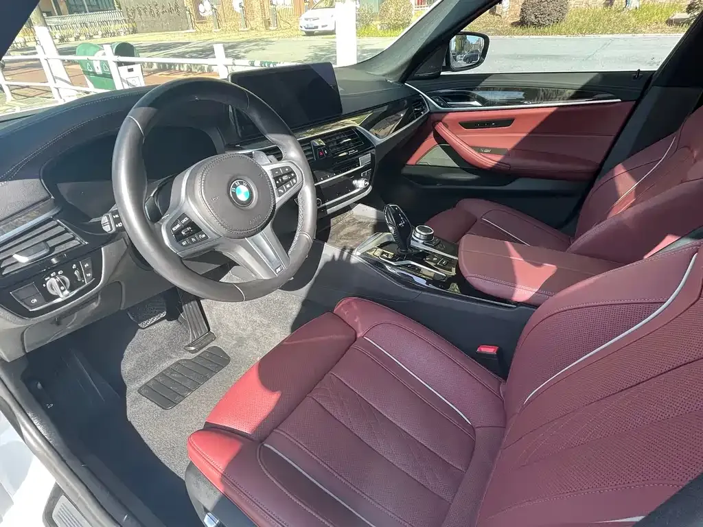 BMW 5 Series 2022 из CN, фото 8