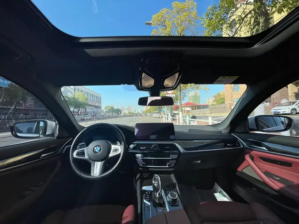 BMW 5 Series 2022 из CN, фото 9