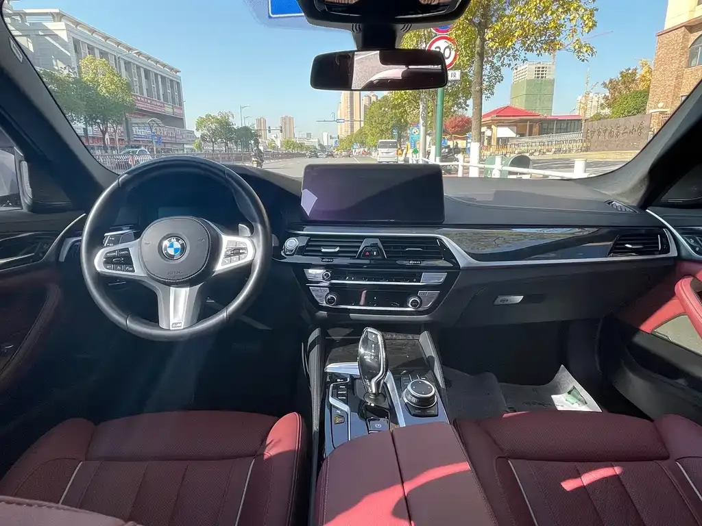 BMW 5 Series 2022 из CN, фото 5