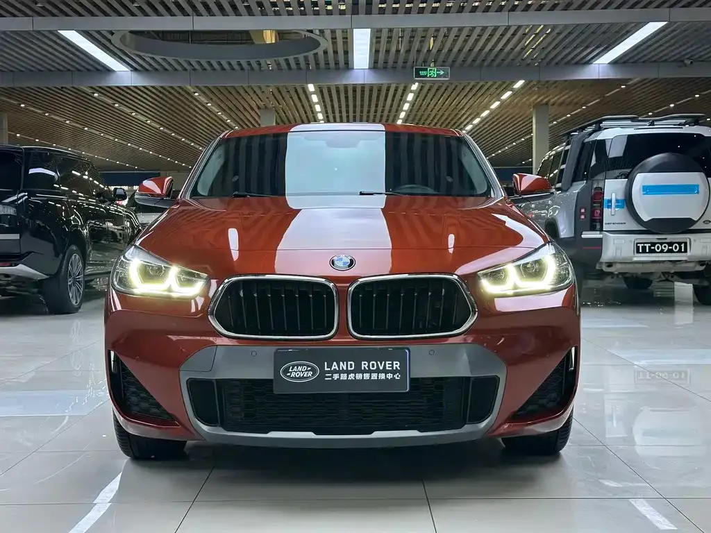 BMW X2 2022 из CN, фото 2
