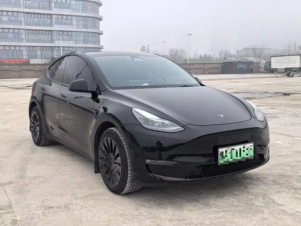 Tesla Model Y — фото 3