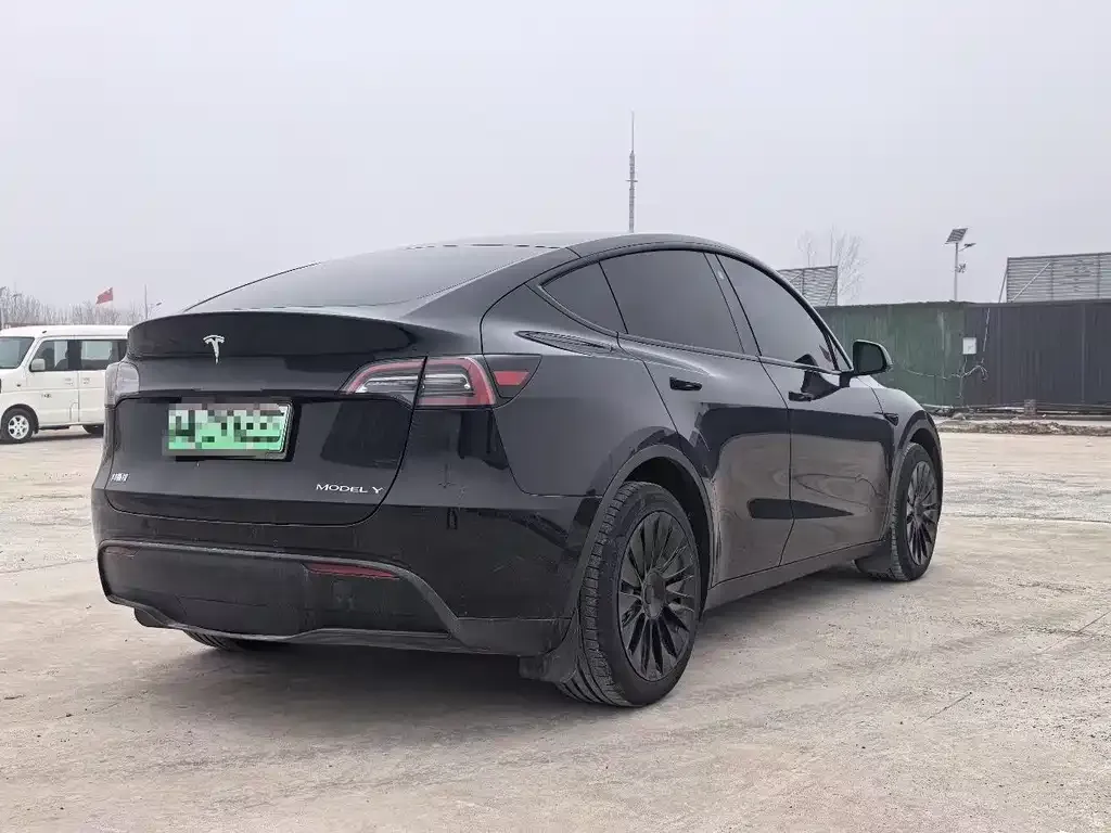 Tesla Model Y — фото 6