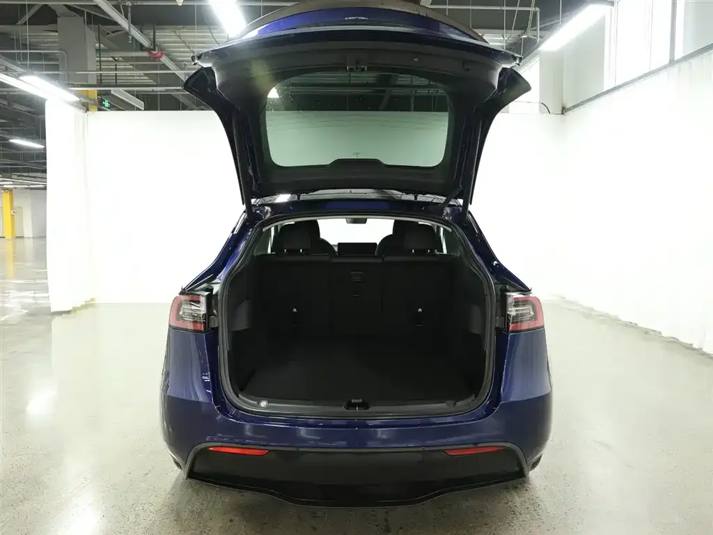 Tesla Model Y — фото 5