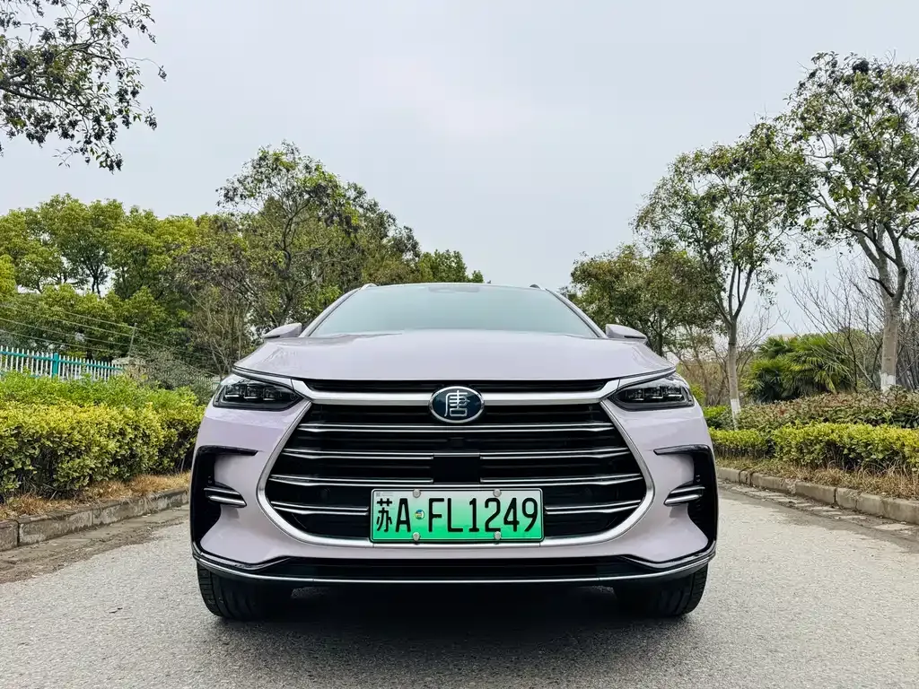 BYD Tang New Energy — фото 7