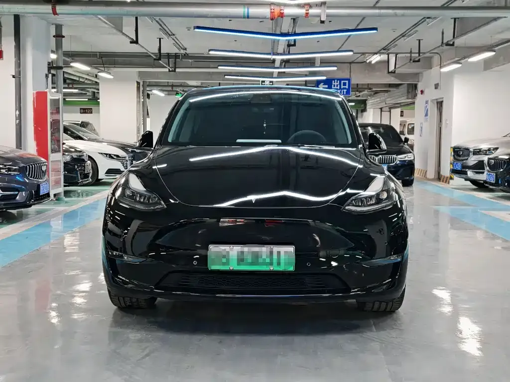 Tesla Model Y — фото 10
