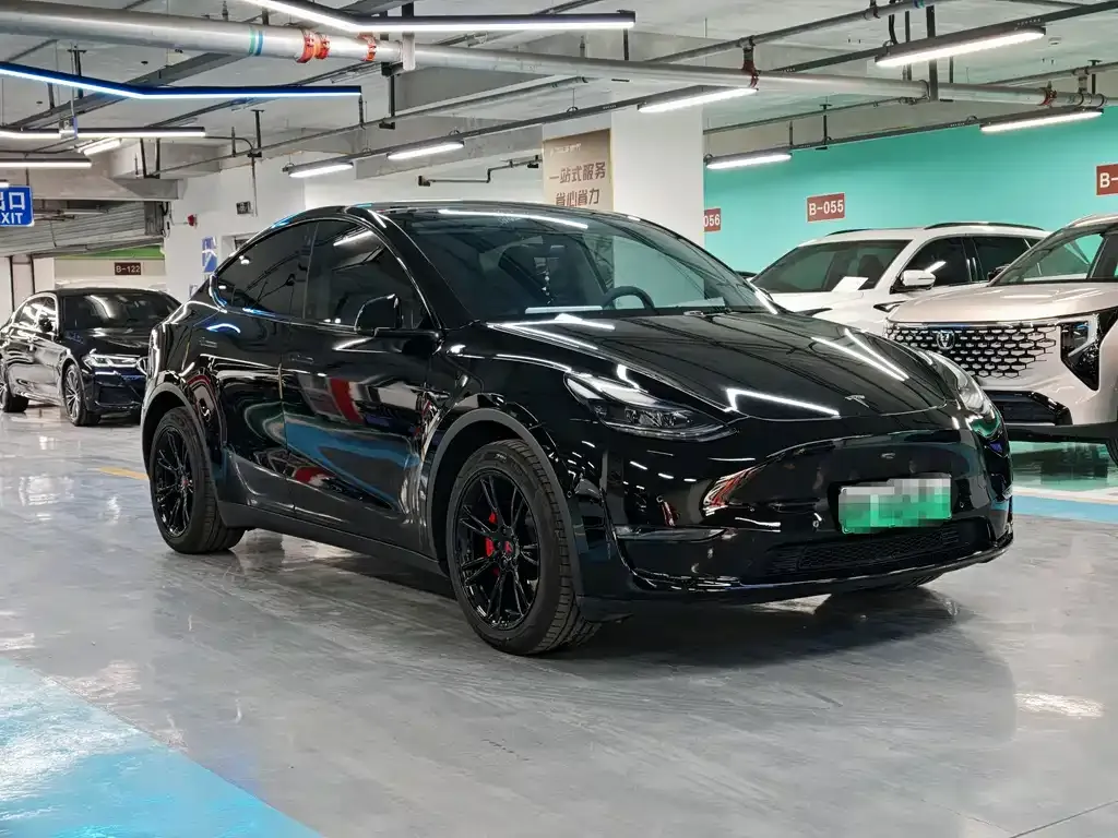 Tesla Model Y — фото 3
