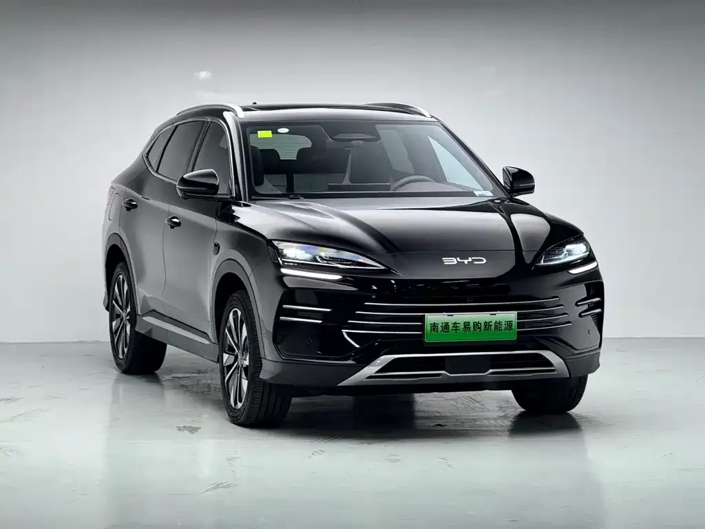 BYD PLUS New Energy — фото 2