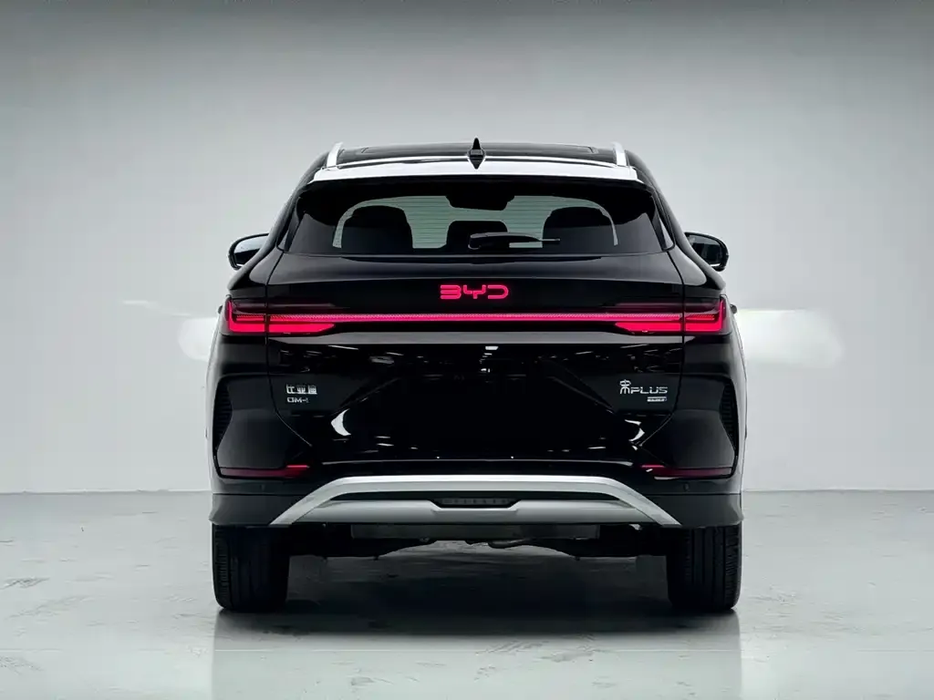 BYD PLUS New Energy — фото 10
