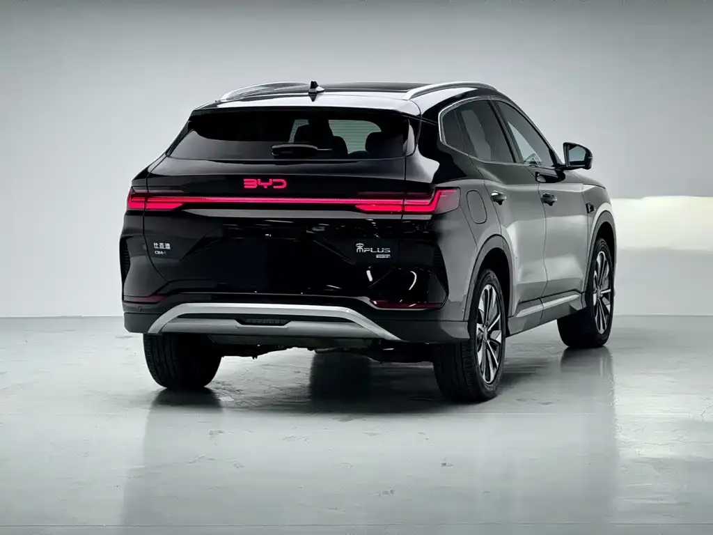 BYD PLUS New Energy — фото 6