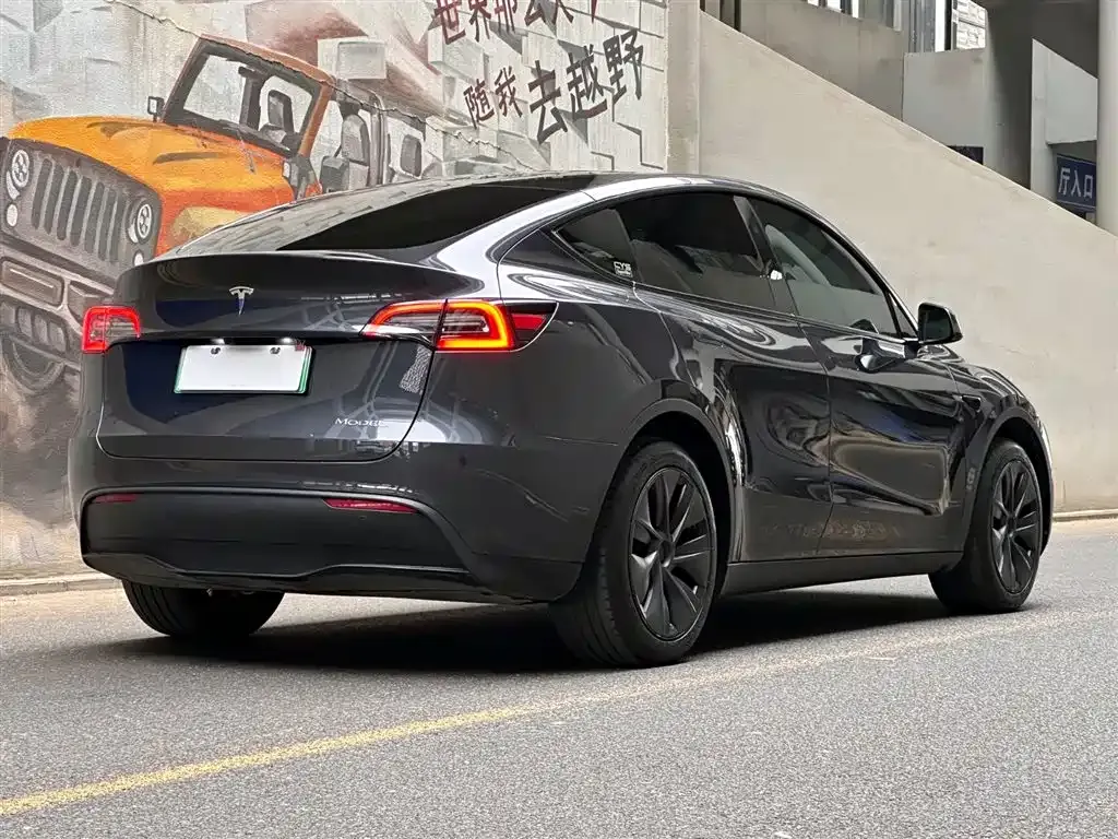 Tesla Model Y 2024 из CN, фото 8