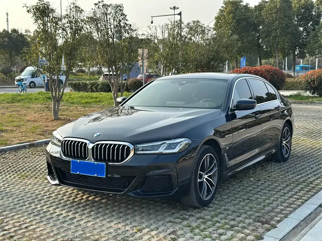 BMW 5 Series 2023 из CN, фото 1