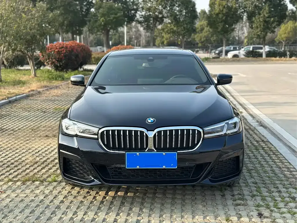 BMW 5 Series 2023 из CN, фото 8