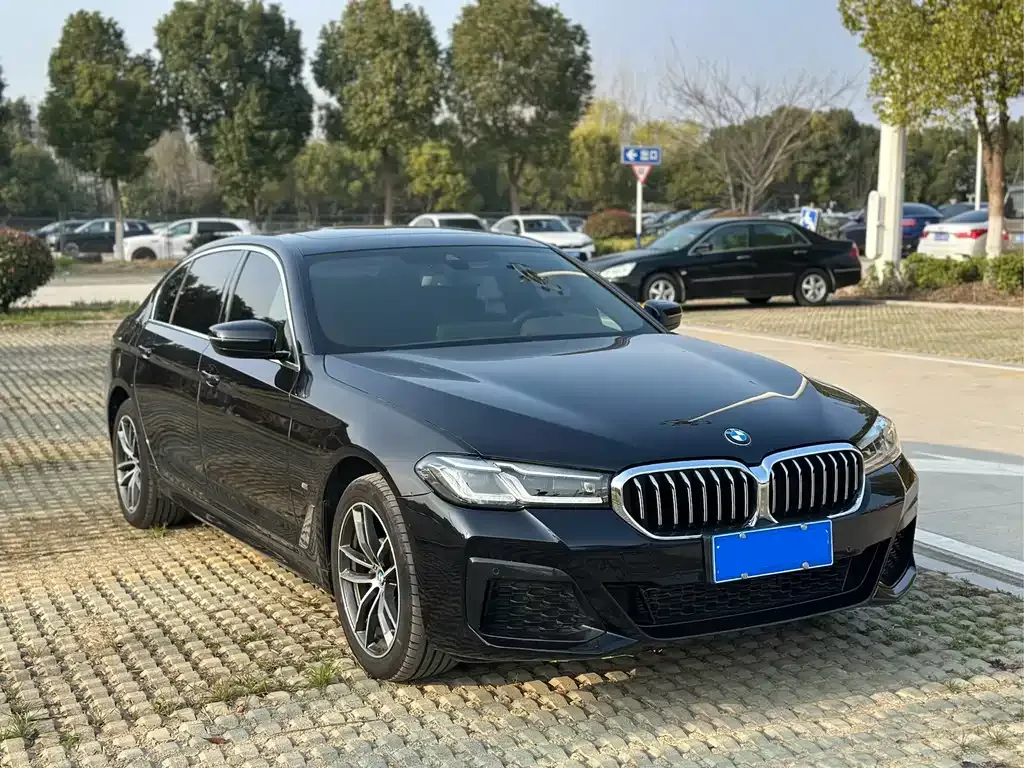 BMW 5 Series 2023 из CN, фото 5