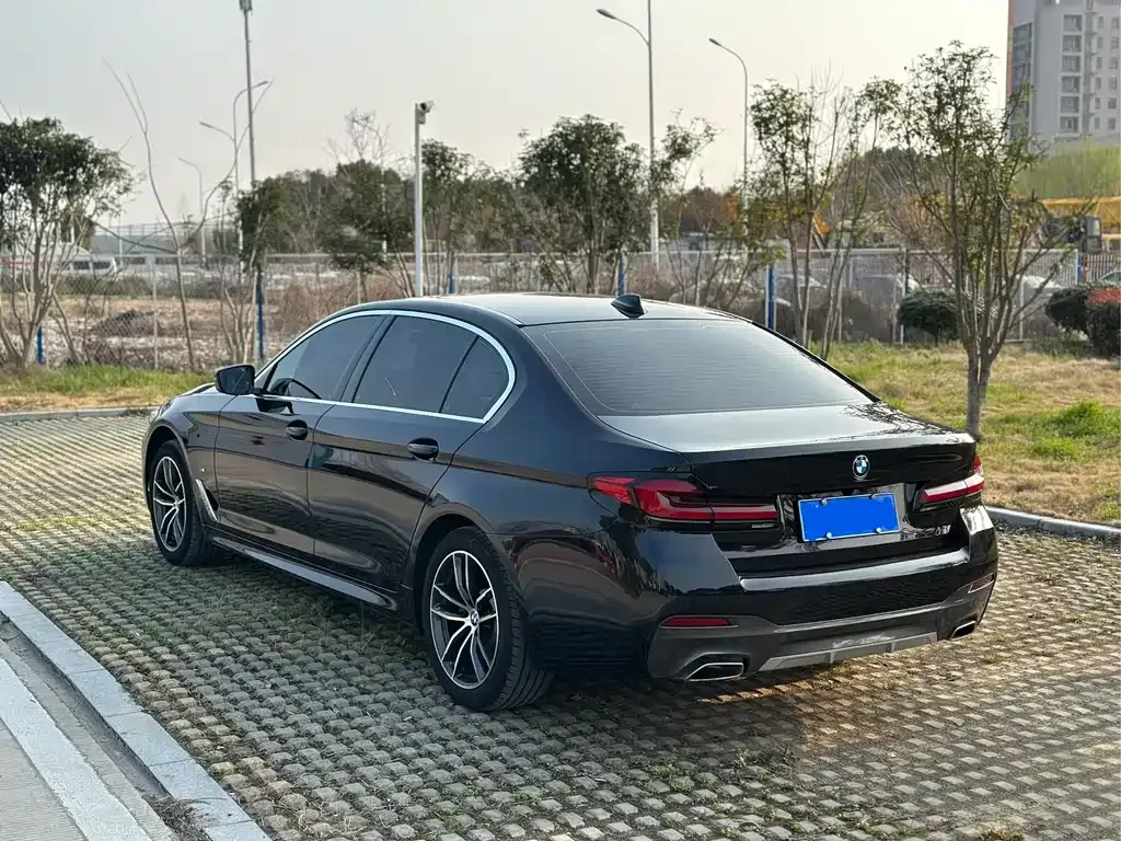 BMW 5 Series 2023 из CN, фото 9