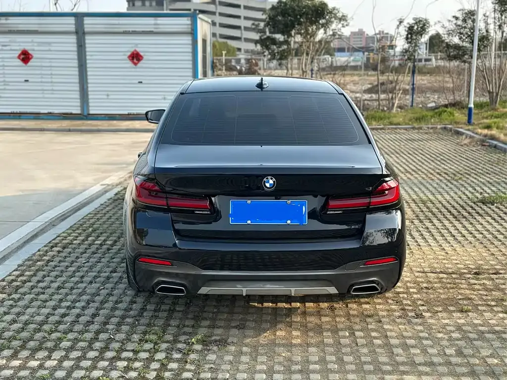 BMW 5 Series 2023 из CN, фото 2