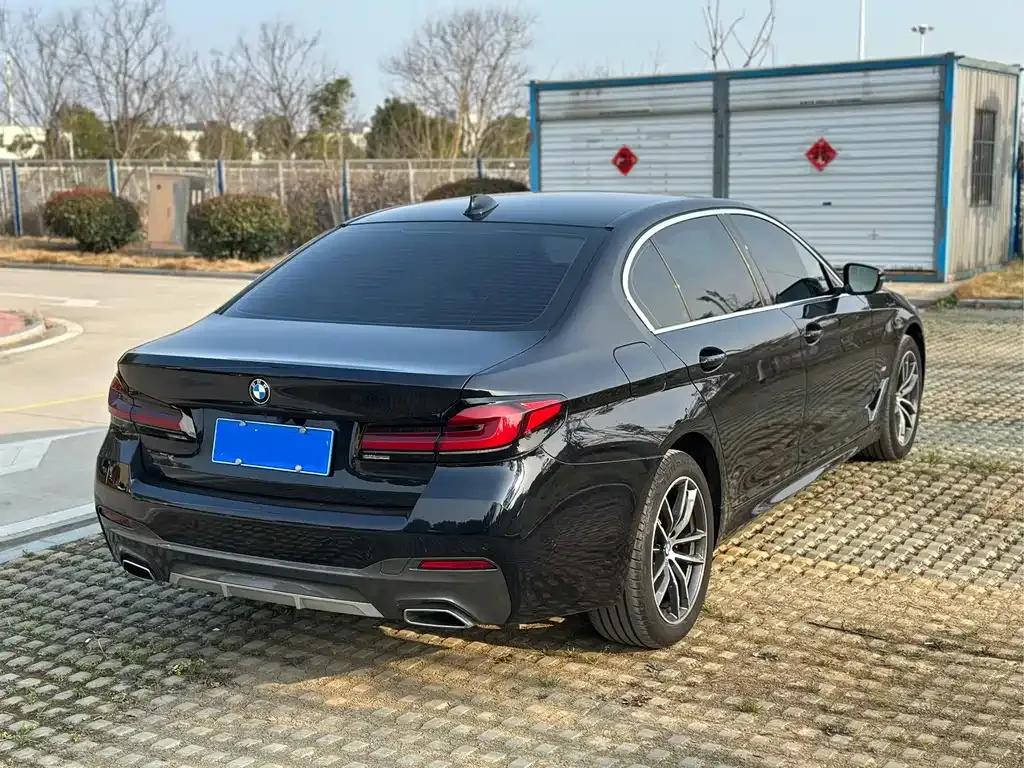 BMW 5 Series 2023 из CN, фото 10