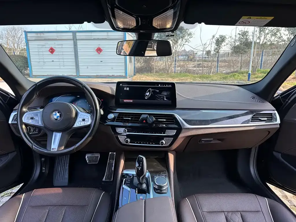 BMW 5 Series 2023 из CN, фото 7