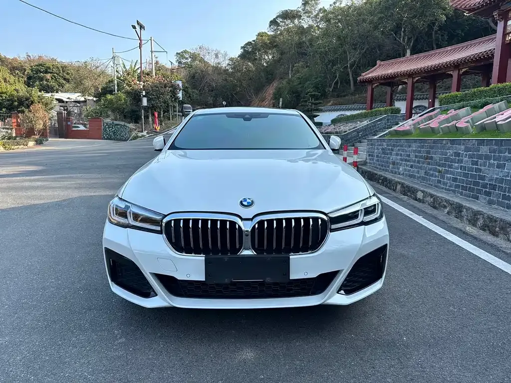 BMW 5 Series — фото 10