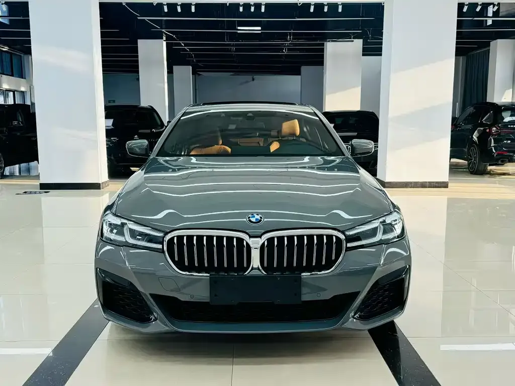 BMW 5 Series (Import) 2021 из CN, фото 4