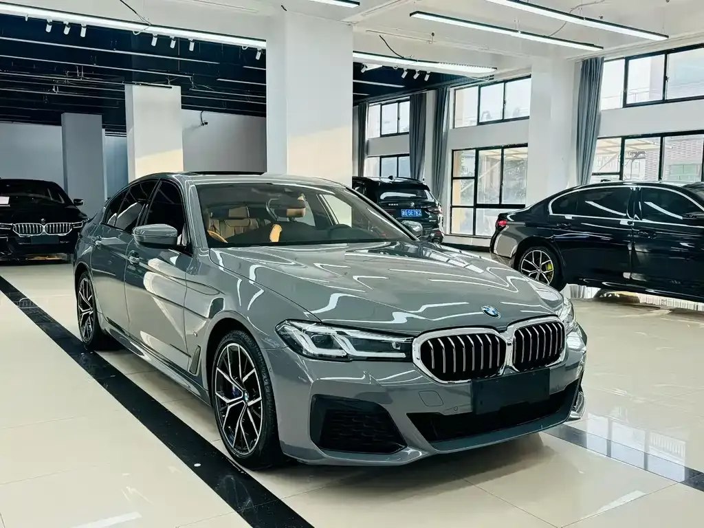 BMW 5 Series (Import) 2021 из CN, фото 2