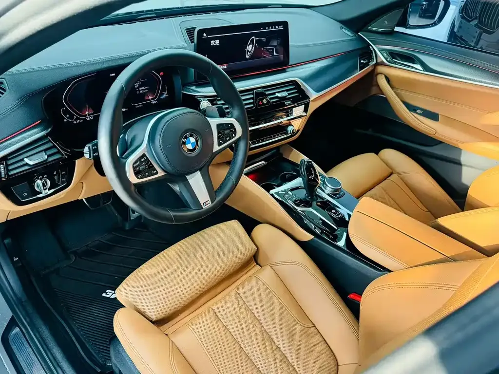 BMW 5 Series (Import) 2021 из CN, фото 9